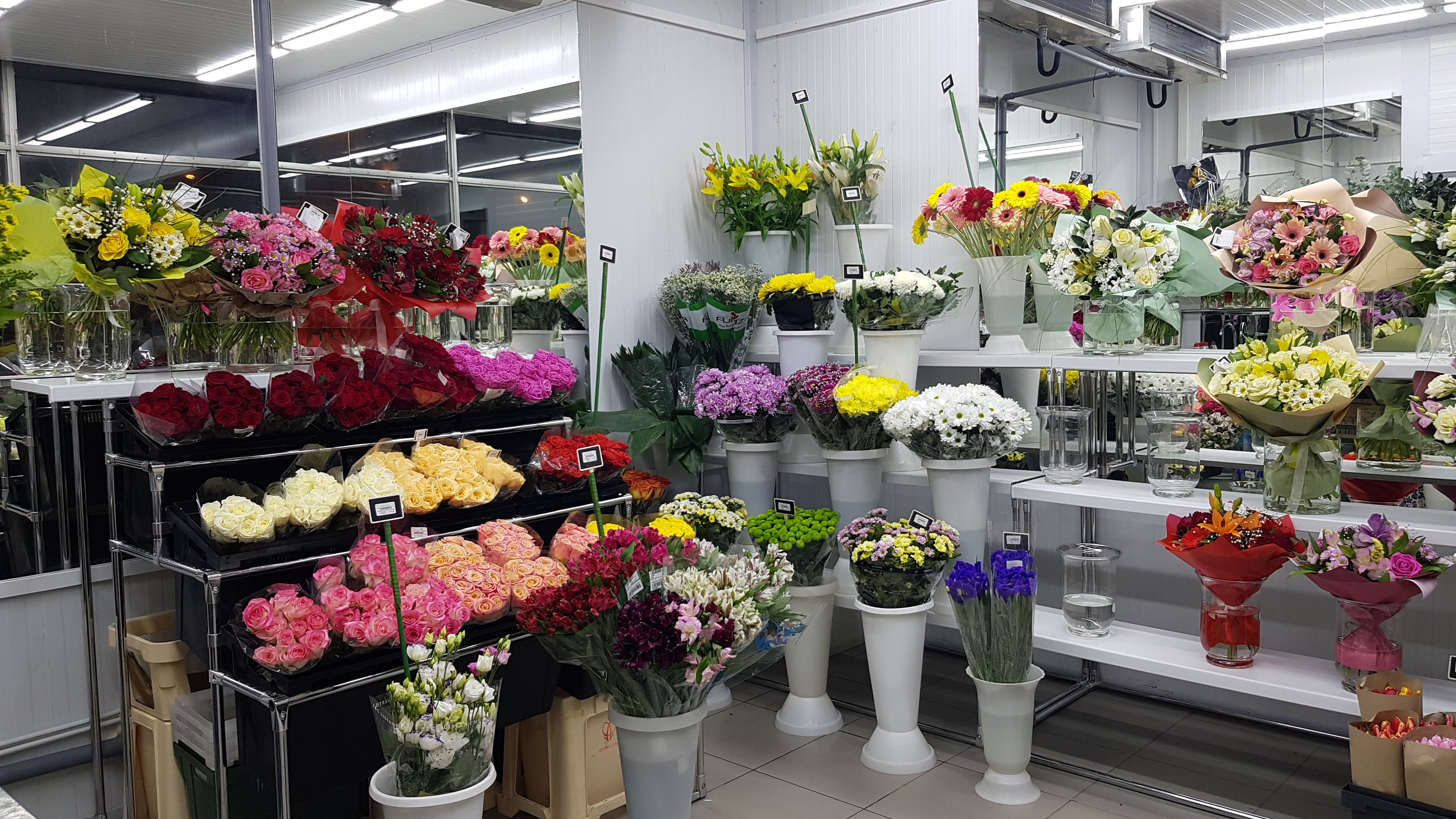 Цены Цветов В Магазине